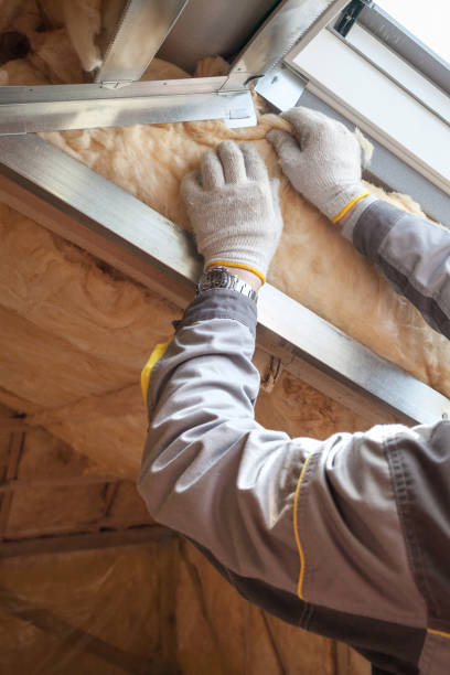 Types of Insulation We Offer in Wabasha, MN