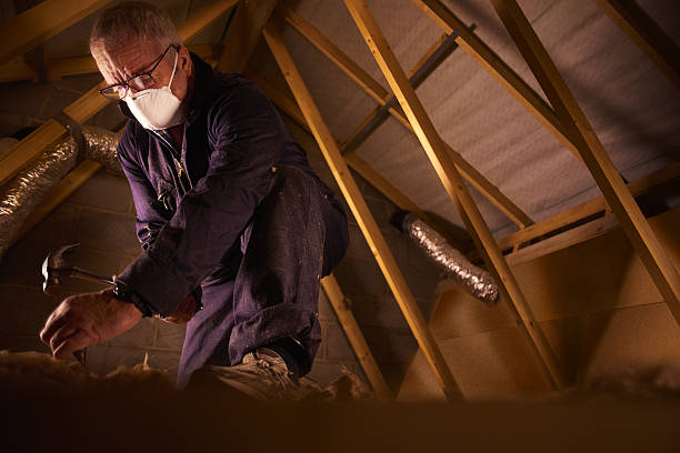 Best Blown-in Insulation in Wabasha, MN
